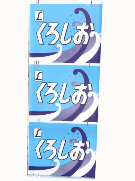 381系日根野電車区前面絵幕