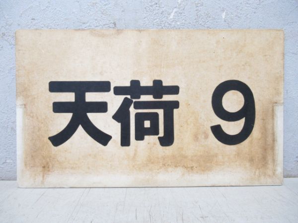 天荷9/---