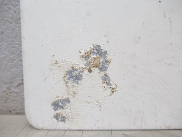 奥多摩 わかば号/---