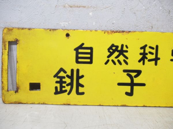 自然科学列車 銚子海岸/同じ