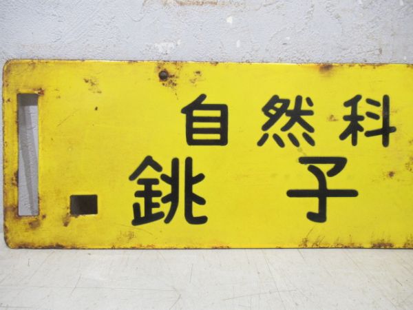 自然科学列車 銚子海岸/同じ