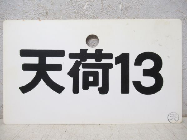 天荷13/---
