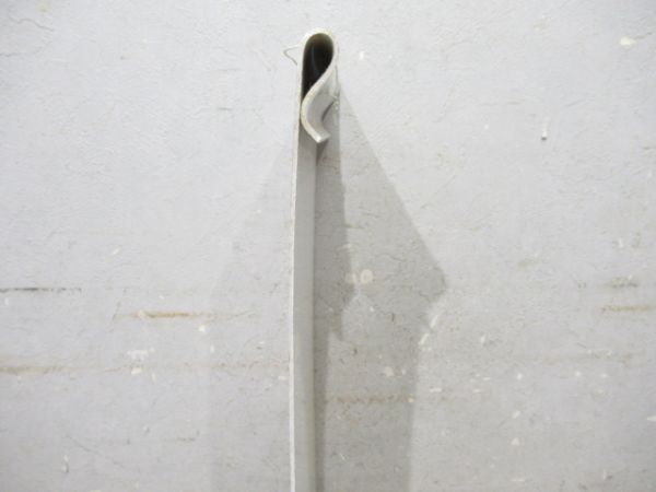 急行 いいで 新泻(潟)行