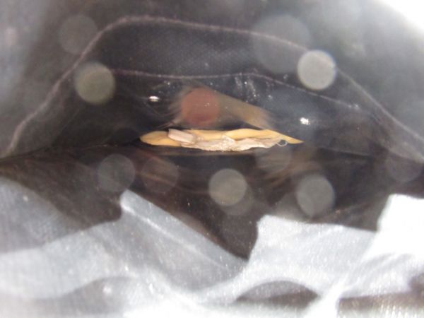 JR九州スタフケースバッグ　JRマーク付き