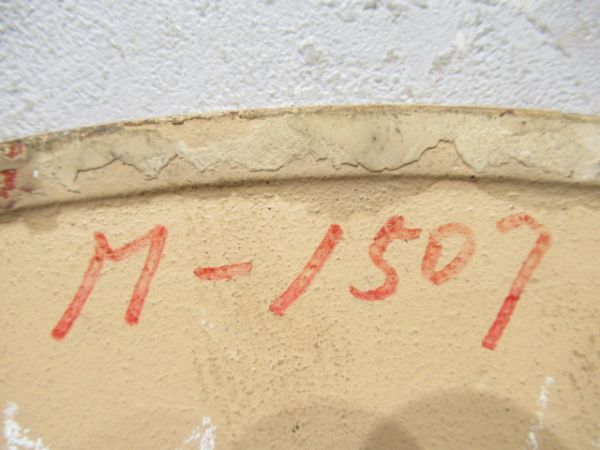 日本国有鉄道　特急色